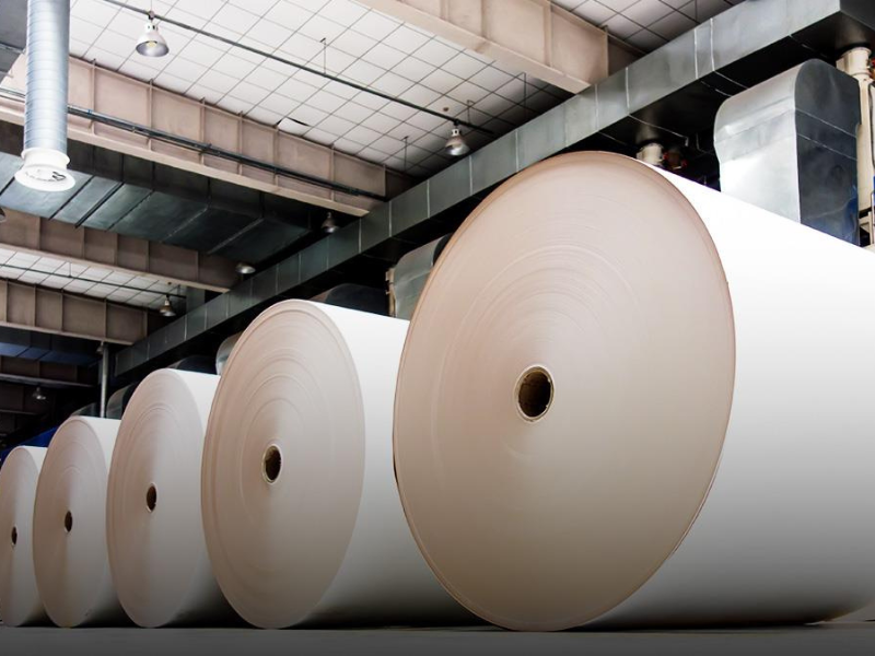 Large paper rolls in a mill highlight upstream paper supply risk for printers and packaging producers.