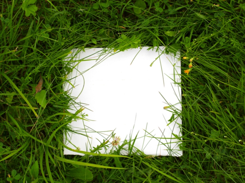 This paper is partly made from grass to reduce its environmental footprint