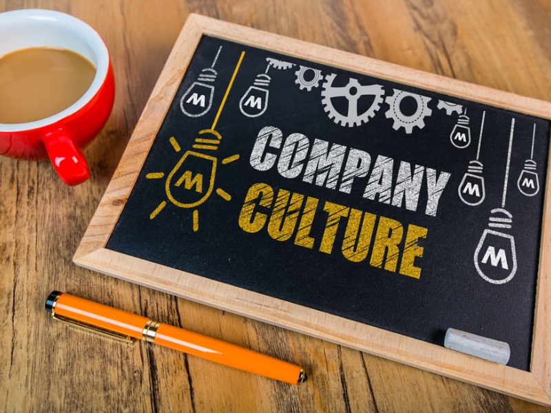 Exploring Some Causes of Toxic Workplace Cultures